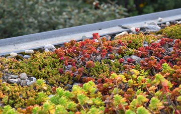 the cost of Aston Sq green roof installation