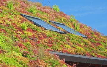 Aston Sq living roof systems